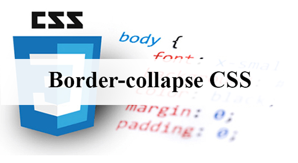 Border collapse css что это