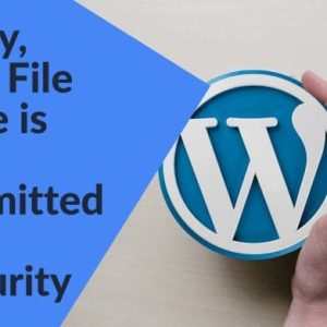 Sorry-This-File-Type-is-Not-Permitted-For-Security