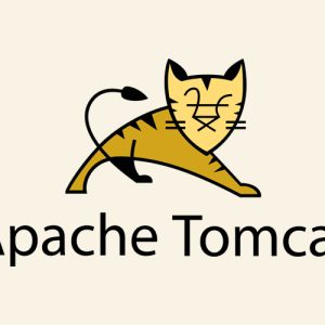 tomcat_apache