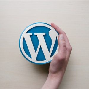 Điều kiện hiển thị trong Wordpress